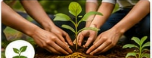 Environment Conservation Project